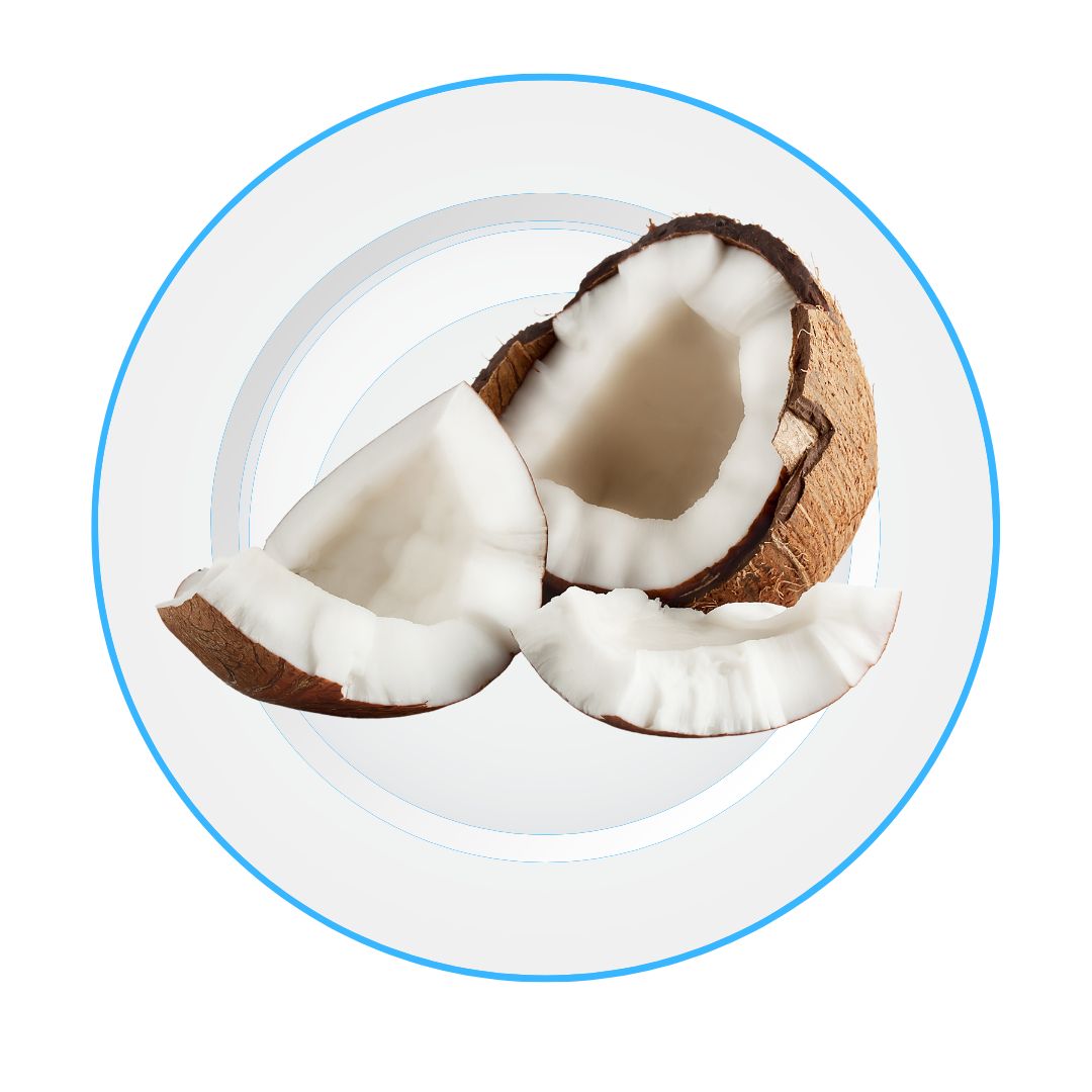 Coconut1